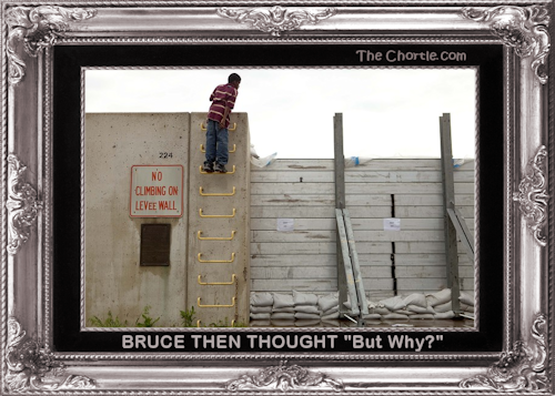 Bruce then thought, "But why?"