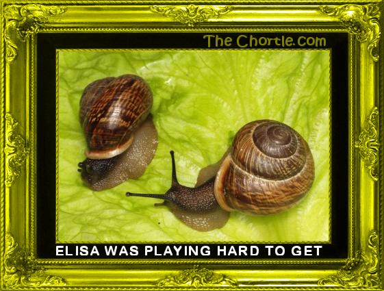 Elisa is playing hard to get