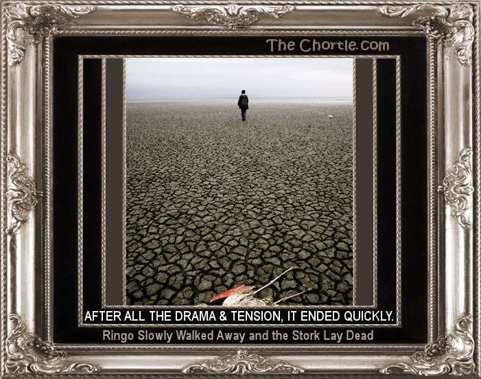 After all the drama & tension, it ended quickly. Ringo slowly walked away and the stork lay dead.