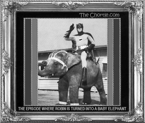 The episode where Robin is turned into an elephant