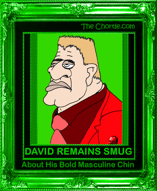 David remains smug about his bold masculine chin.