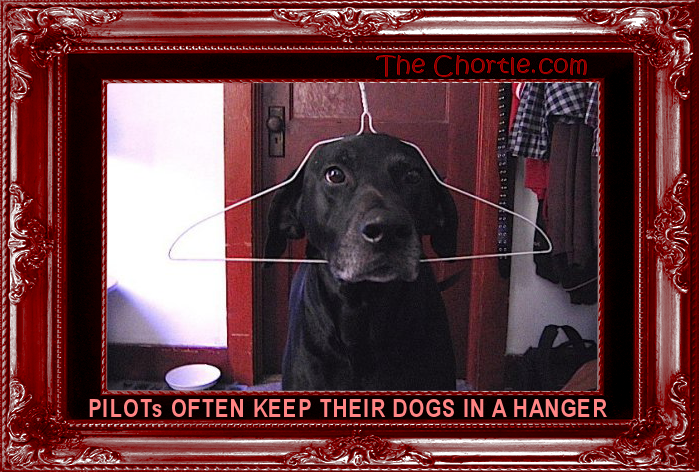 Pilots often keep their dogs in the hanger