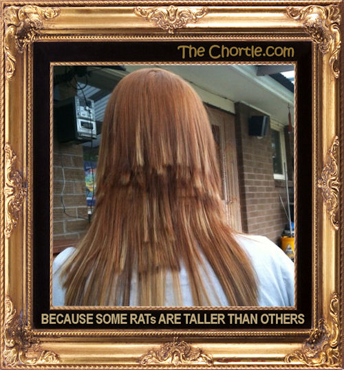 Because some rats are taller than others