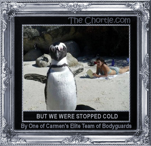 But we were stopped cold by one of Carmen's elite team of bodyguards