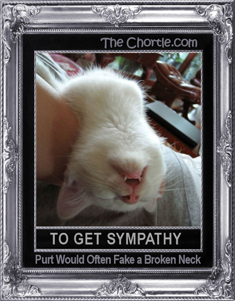 To get sympathy, Purt ould often fake a broken neck.