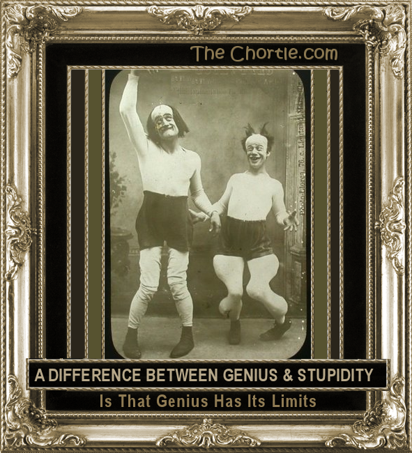 A difference between genius & stupidity is that genius has its limits.
