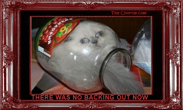 There was no backing out now