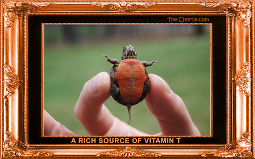 A rich source of vitamin T.