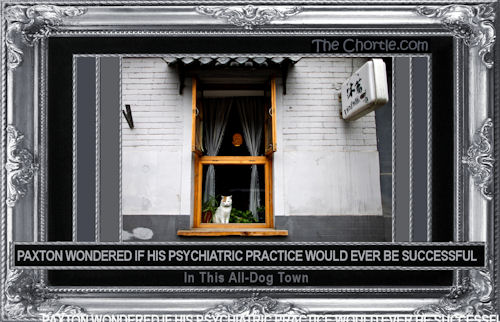 Paxton wondered if his psychiatric practive would ever be successful in this all-dog town.