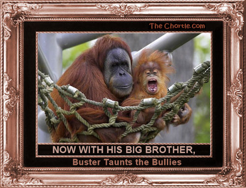 Now with his big brother, Buster taunts the bullies.
