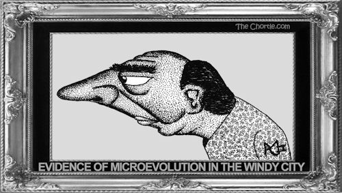 Evidence of microevolution in the windy city.