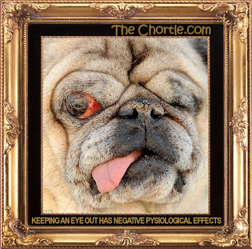 Keeping an eye out has negative physiological effects