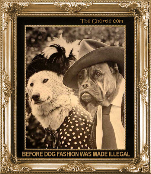 Before Dog fashion was made illegal