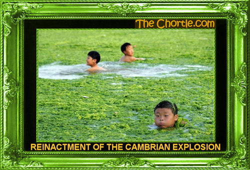 Reinactment of the Cambrian explosion