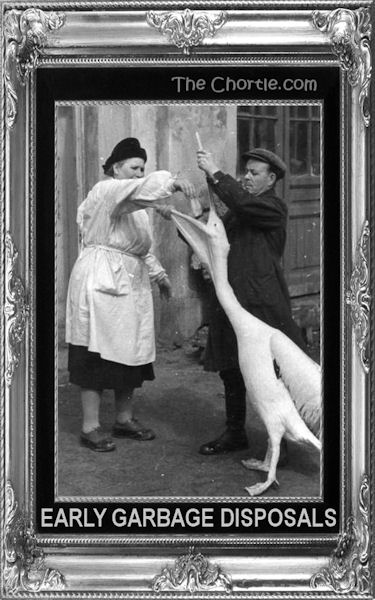 Early garbage disposals