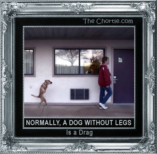 Normally, a dog without legs is a drag