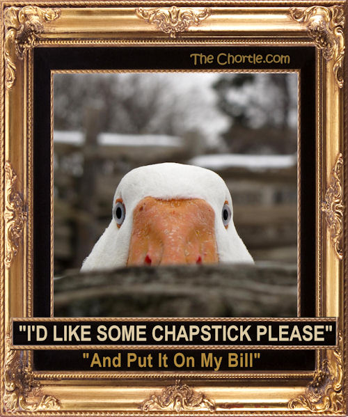 "I'd like some chapstick please. And put it on my bill"