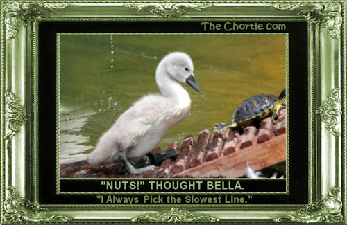 "Nuts!" thought Bella. "I always pick the slowest line."