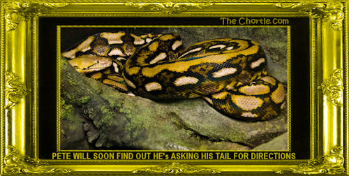 Pete will soon find out he's asking his tail for directions.