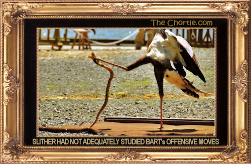 Slither had not adequately studied Bart's offensive moves