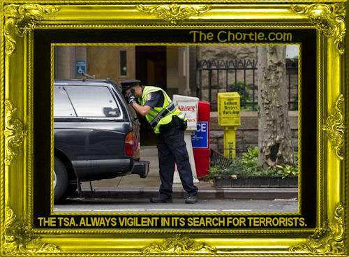 The TSA. Always vigilent in its search for terrorists