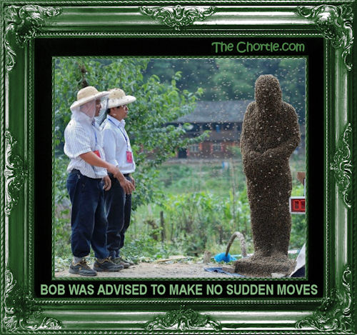 Bob was advised to make no sudden moves