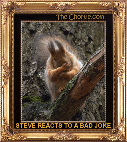 Steve reacts to a bad joke