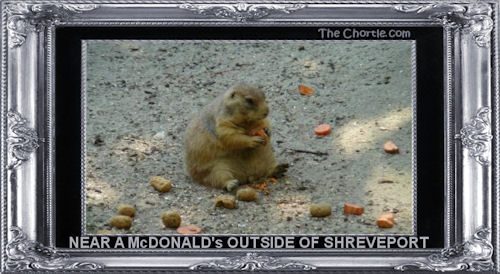 Near a McDonald's outside of Shreveport