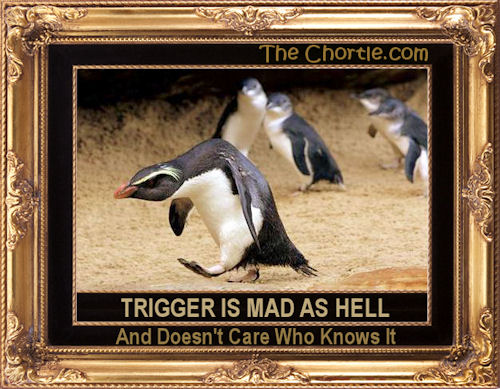 Trigger is mad as hell and doesn't care who knows it 