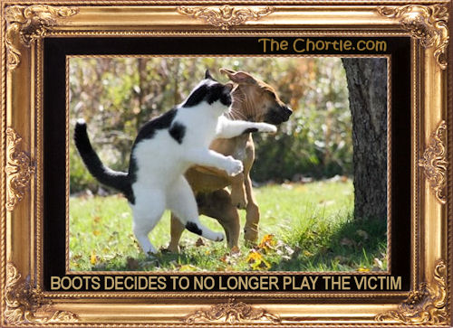 Boots decides to longer play the victim