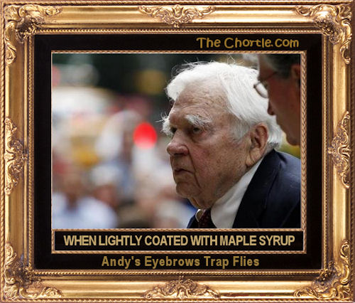 When lightly coated with maple syrup, Andy's eyebrows trap flies