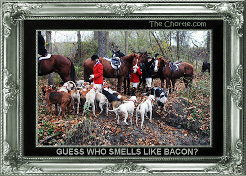 Guess who smells like bacon?