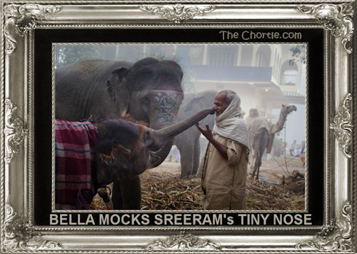 Bella mocks Sreeram's tiny nose