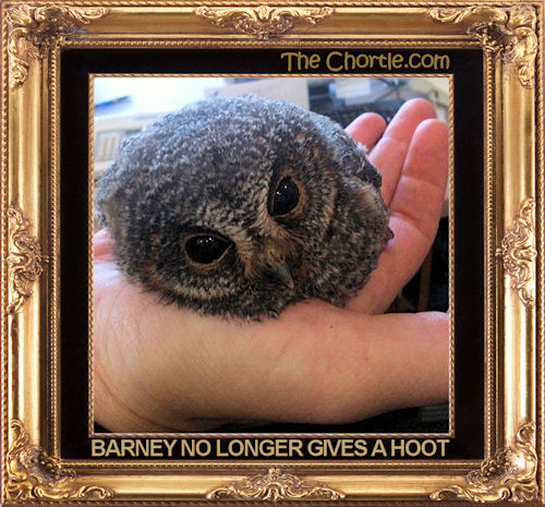 Barney no longer gives a hoot.