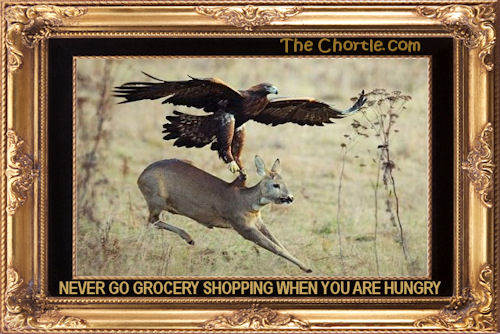 Never go grocery shopping when you are hungry