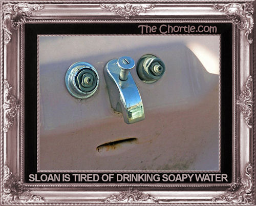 Sloan is tired of drinking soapy water