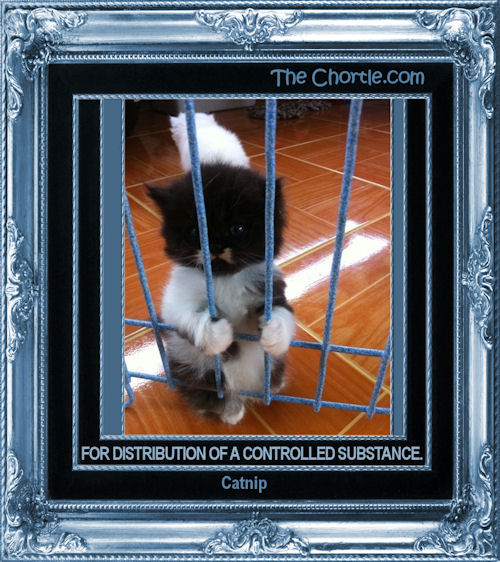 For distribution of a controlled substance: catnip