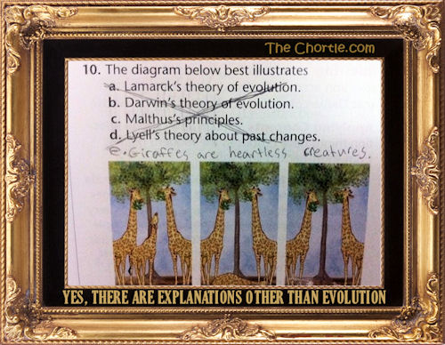 Yes, there are other explanations other than evolution