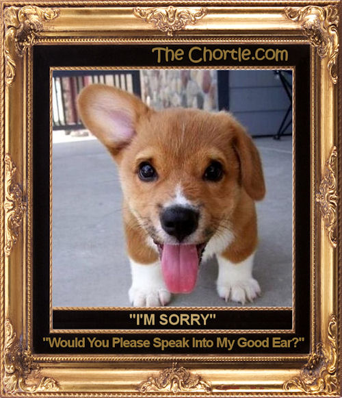 "I'm sorry. Would you please speak into my good ear?"