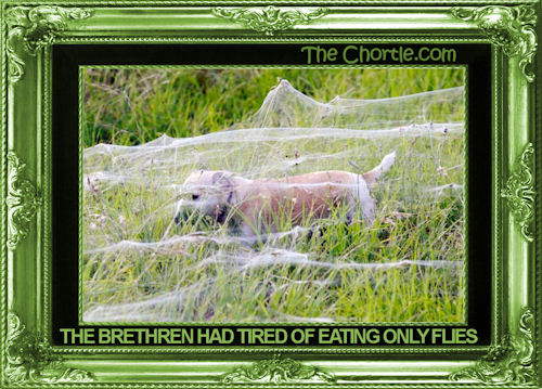 The brethren had tired of eating only flies