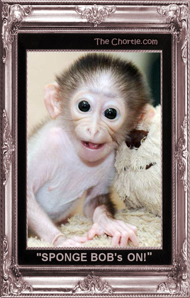 "SPONGE BOB's  ON!"