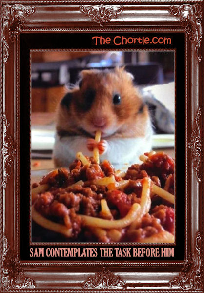 Sam contemplates the task before him