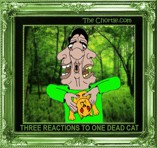 Three reactions to one dead cat