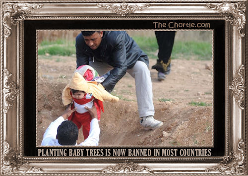Planting baby trees is now banned in most countries