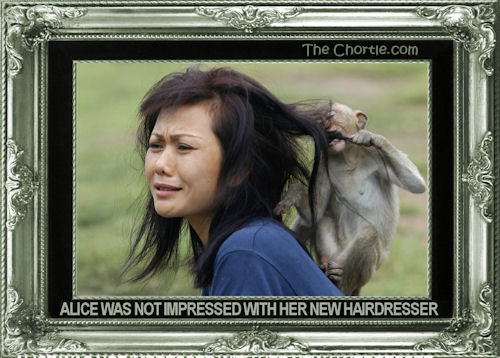 Alice was not impressed with her new hairdresser