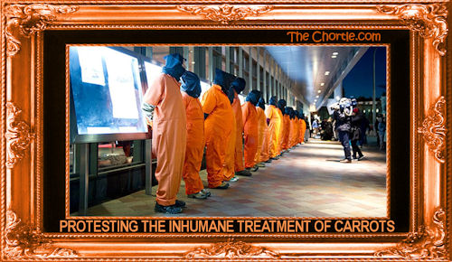 Protesting the inhumane treatment of carrots