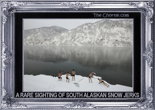 A rare sighting of South Alaskan snow jerks
