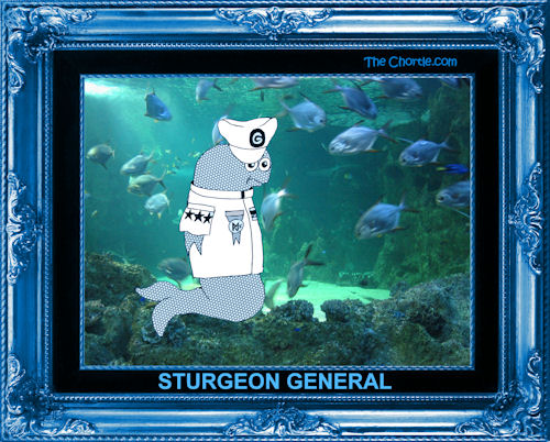 Sturgeon General