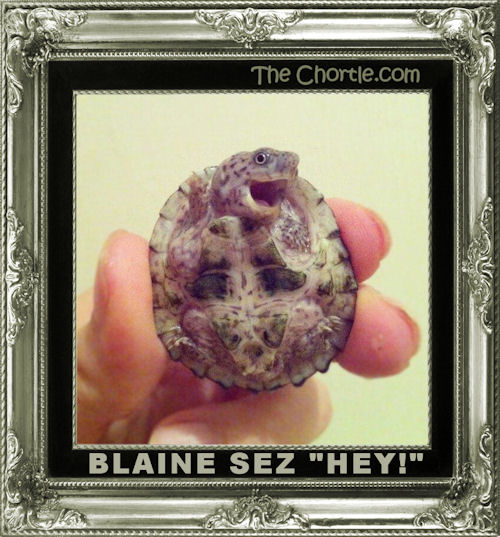 Blaine sez "Hey!"