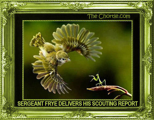 Sergeant Frye delivers his scouting report